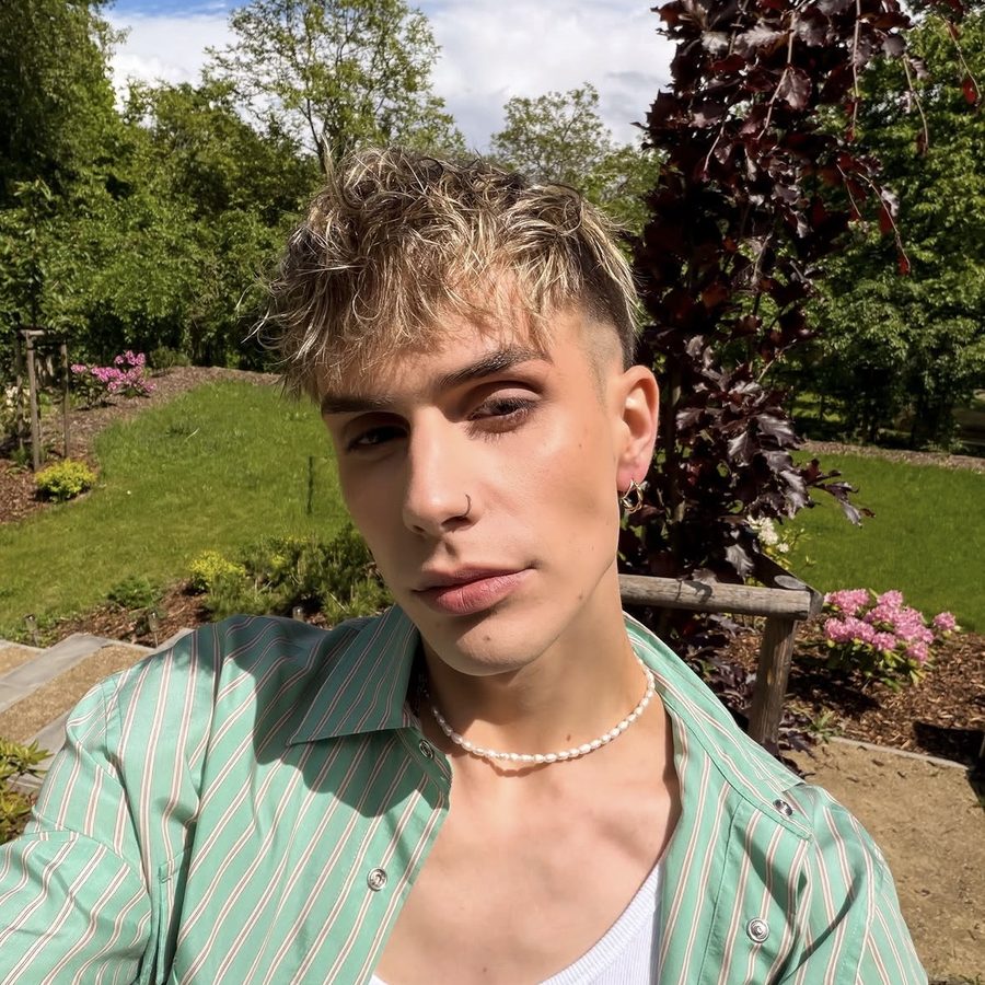 Dima Arrest